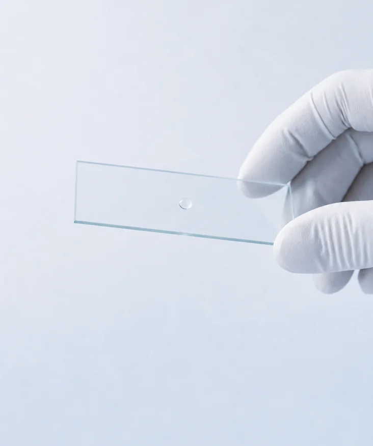 A gloved hand bringing one microbial sample on a glass slide into focus